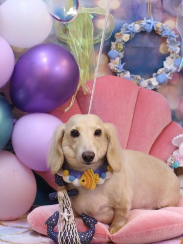 20240831シオンくん